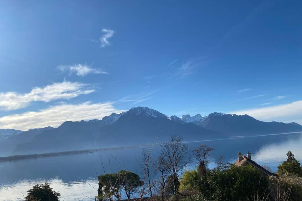 Studio Vue Panoramique Sur Le Lac Leman Veytaux 外观 照片